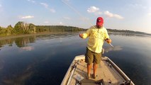 How to Fish Topwater Frogs - Bass Fishing