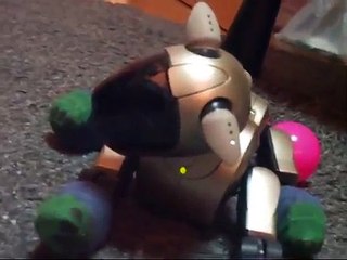 【aibo(ERS-210)】おりこうアイボで遊んでみた！