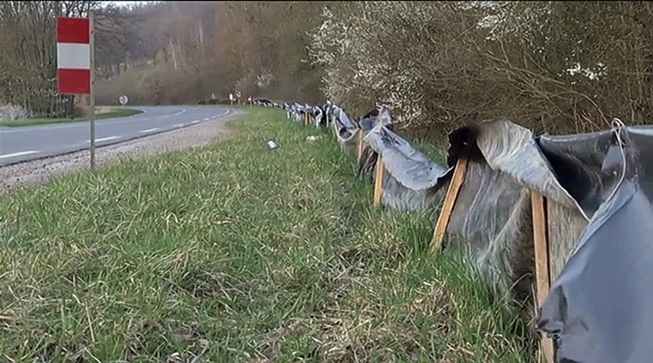 La traversée des Crapauds