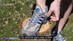 ¿Cómo prevenir ampollas causadas por tus zapatos deportivos?