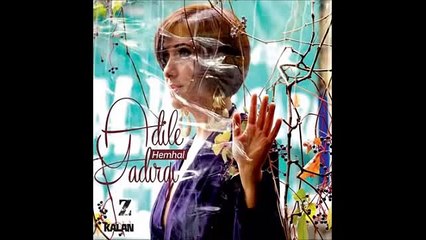 Adile Yadırgı - Akşam Oldu Yakamadım Gazımı