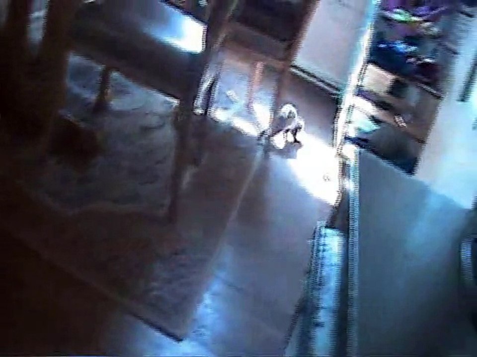 Tomtom et Nana le 14.05.2015