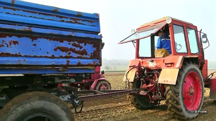 DDR Technik Kartoffeleinsatz LPG Stolpen !