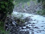 IMPRESIONANTE Crecida de Rio, La Suiza de Turrialba (Río Armadillo)