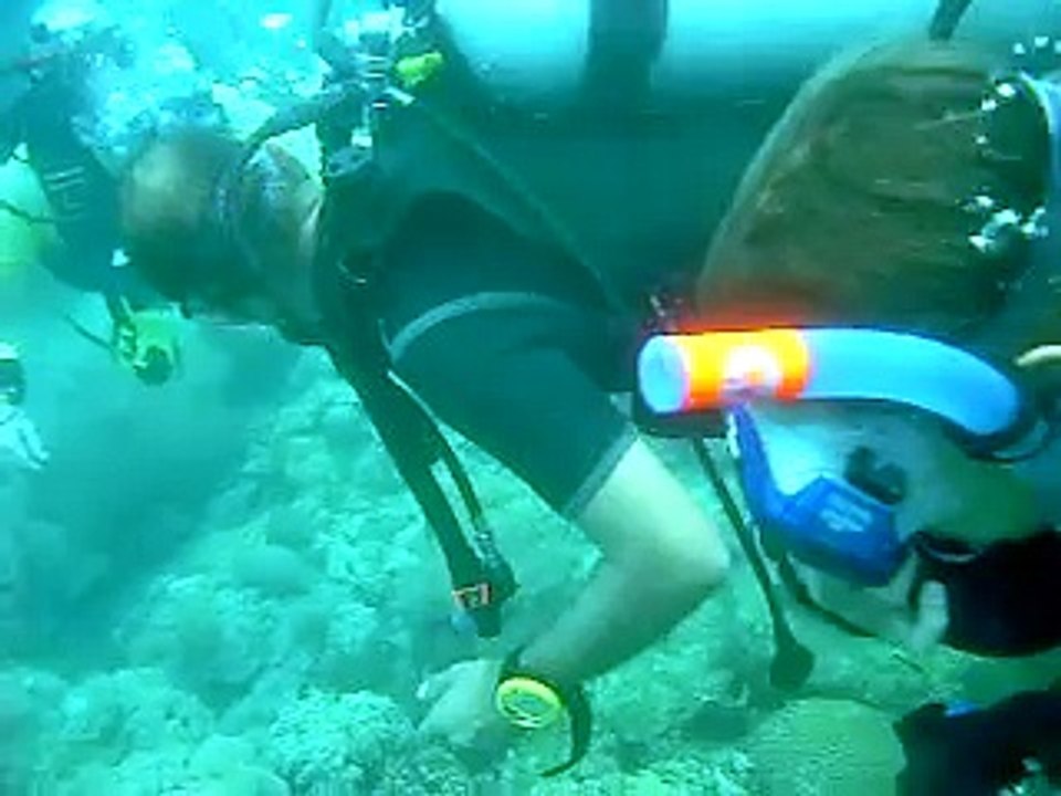 Scuba Diving in Puerto Galera Philippines