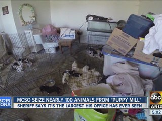 MCSO seize nearly 100 animals from  puppy mill in Wittmann