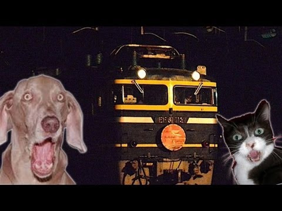 無人電車　深夜に２キロ走る