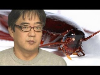 Stalker sends dead cockroaches to victim
