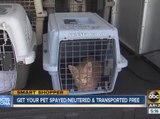 Get your pet spayed, neutered and transported for free