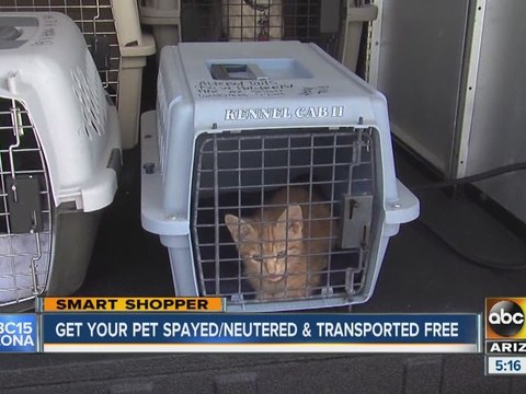 Get your pet spayed, neutered and transported for free