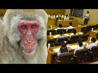 野生サル騒動　市議会も翻弄