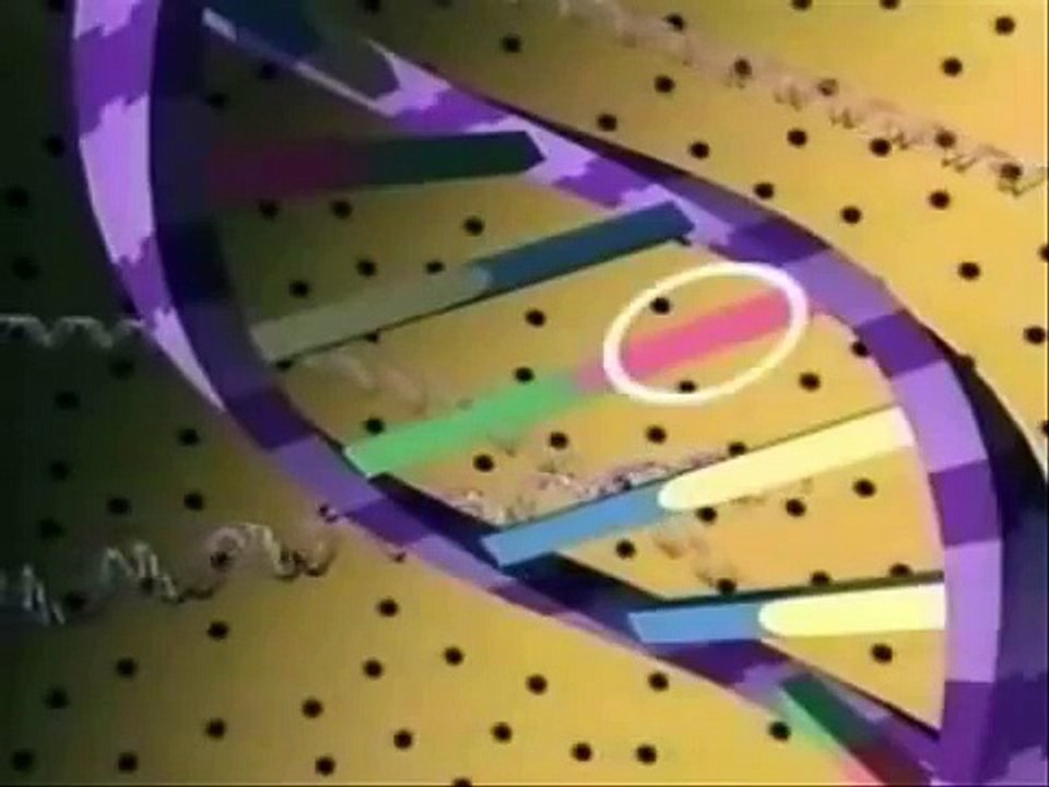 DNA/REPLICATION/PROTEIN SYNTHESIS