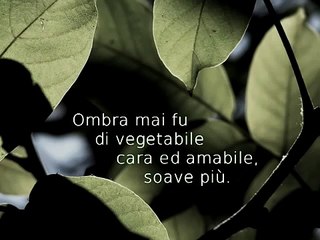 Ombra mai fu - Jaroussky, Takov