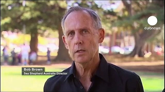 Nuevos enfrentamientos entre balleneros japoneses y ecologistas en aguas del Océano Antártico