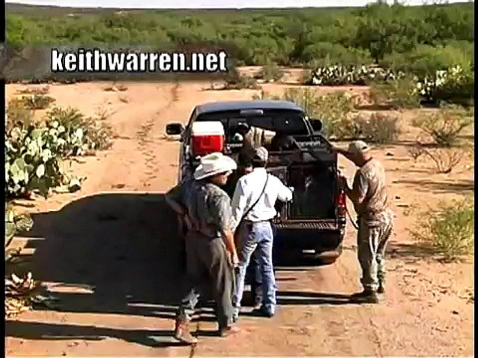 REAL Hogs Gone Wild - Hunting Hogs with Dogs in South Texas