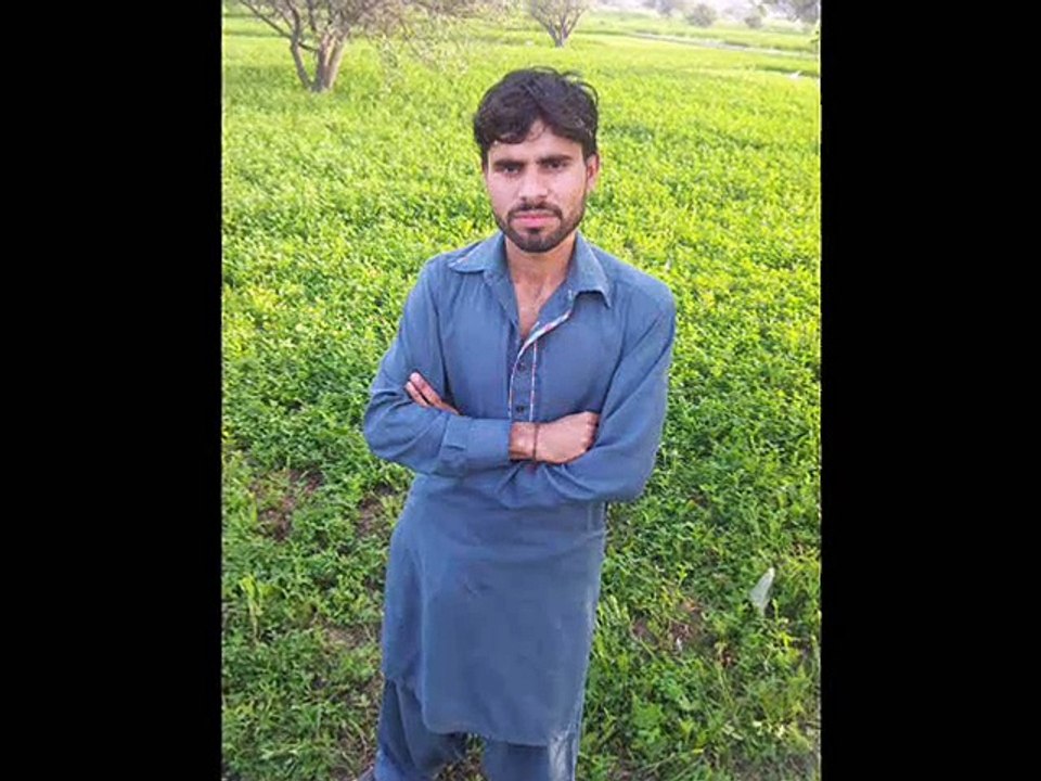 SHAN ALI