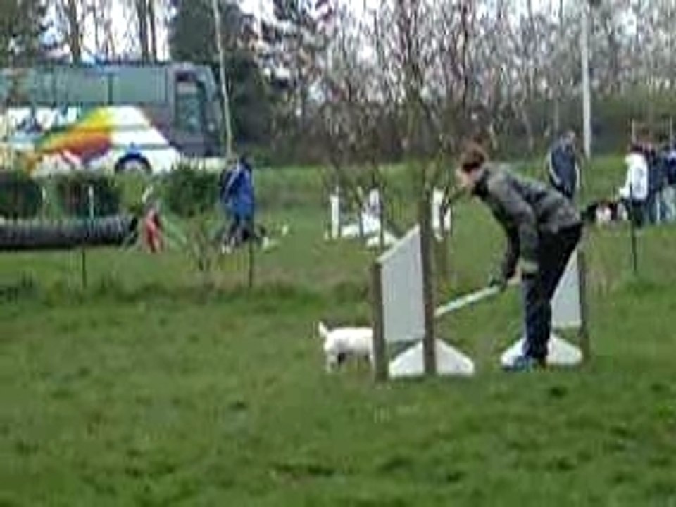 Agility Viky