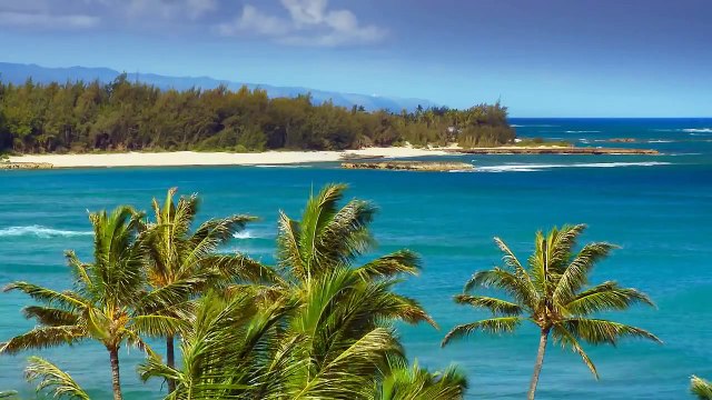HD BEST HAWAII BEACHES - OAHU Ocean Waves Sounds Blu-Ray / DVD relaxing video 1080p relax