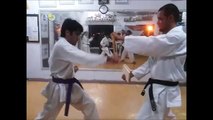 Karate Shotokan Tameshiwari