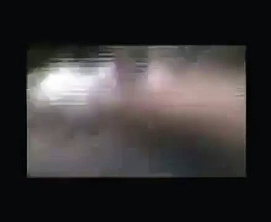 crocodile vs tiger horrible fighting