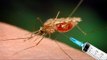 Malaria vaccine moves closer to approval