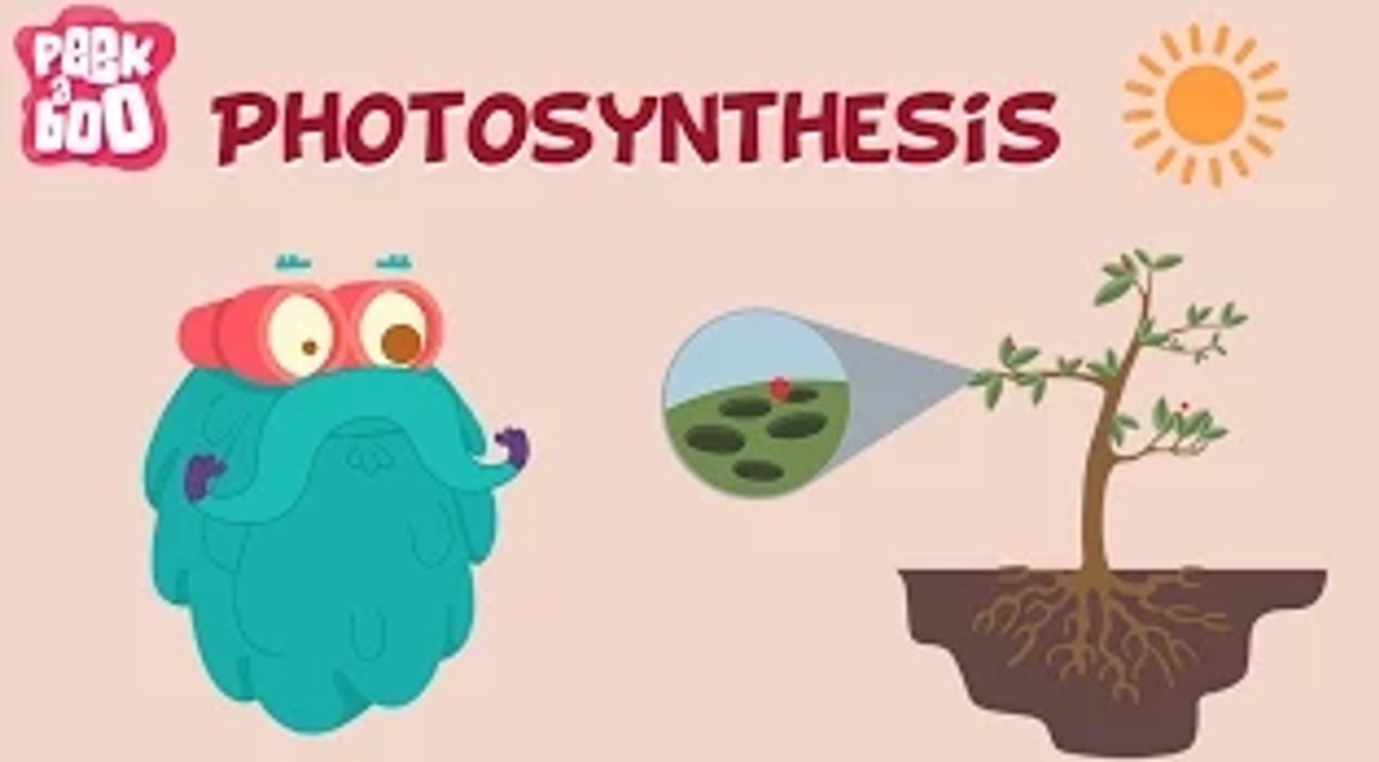 Photosynthesis | The Dr. Binocs Show | Learn Series For Kids