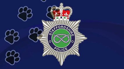 Police Dog Playing in Snow