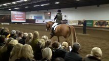 Das Pferd vorbereitet angaloppieren (Jean Bemelmans - Die Alten Meister) Hannover Teil 3c