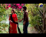 Bari Bahu Last Episode Full HD Geo Tv 13 May 2015 _