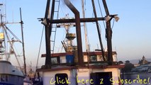 Catepillar Diesel Cat Engine Motor Start Up Fishing Crabbing Boat Ship Vessel For Sale Video Review