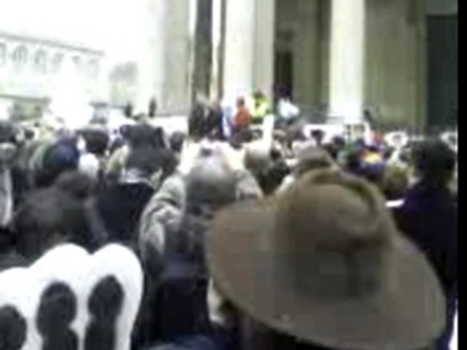 Manifestation protection des animaux