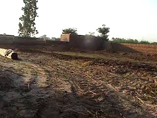 EH dairy farm 419jb gojra pakistan (139) ANIMALS