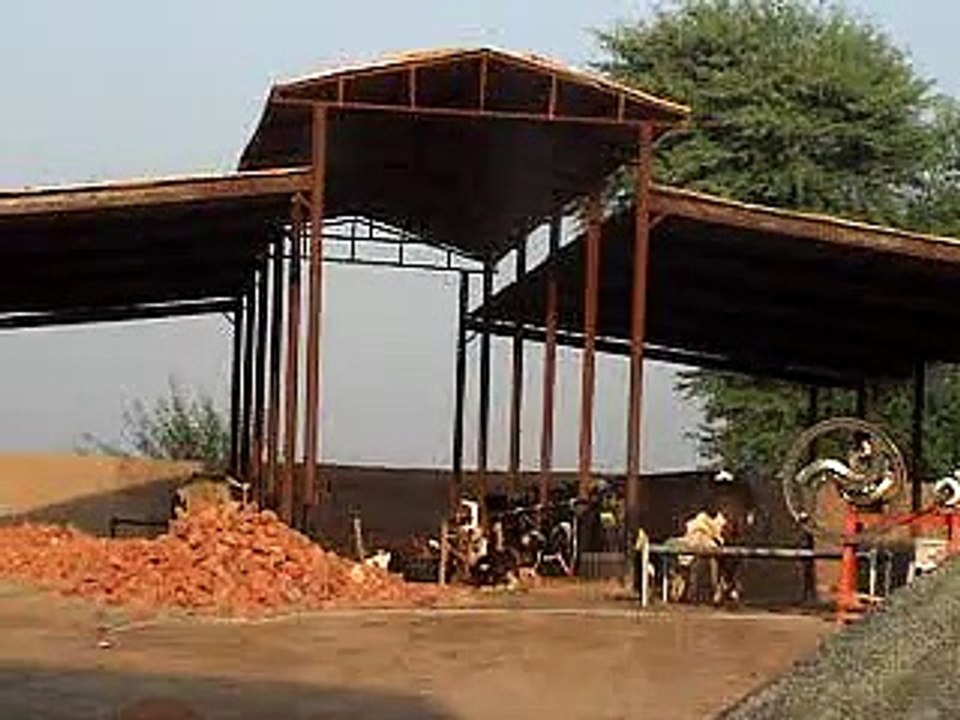 EH dairy farm 419jb gojra pakistan (110) ANIMALS