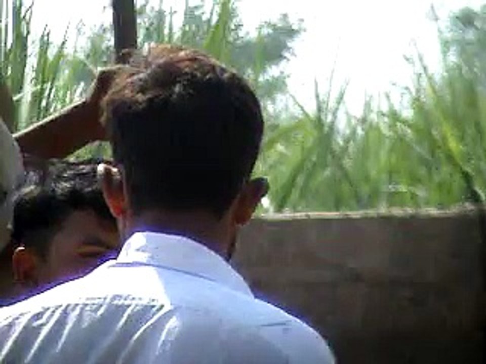 EH dairy farm 419jb gojra pakistan (123) ANIMALS