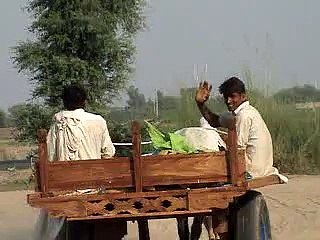 EH dairy farm 419jb gojra pakistan (127) ANIMALS