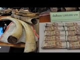 Thailand seizes illegal ivory from Africa: suspects offer to bribe officers