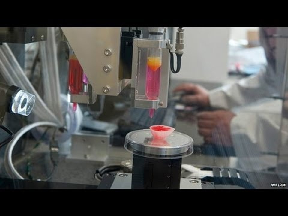 3D printed organs being used to test vaccines