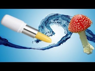 女性のリップに体液　教諭逮捕