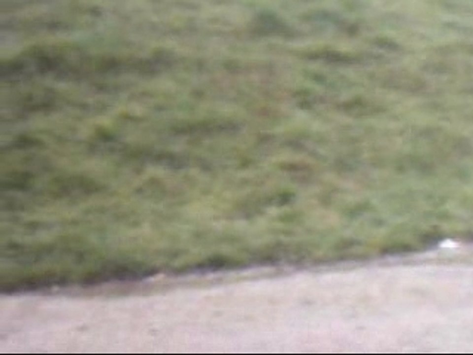 Monster goliath 1/8 en action superbe