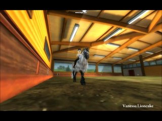 Star Stable Online-When I am sad..