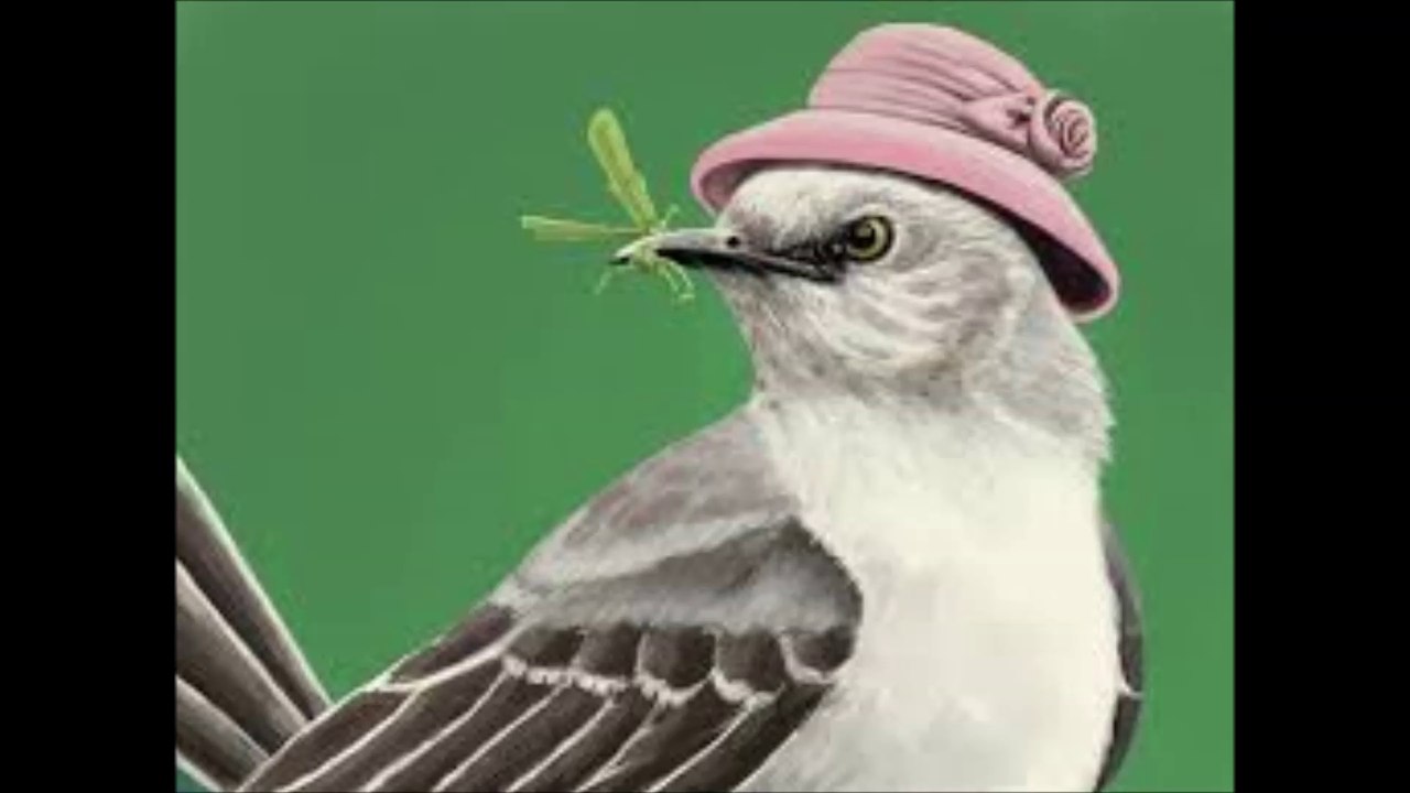 Current 93 - Mockingbird