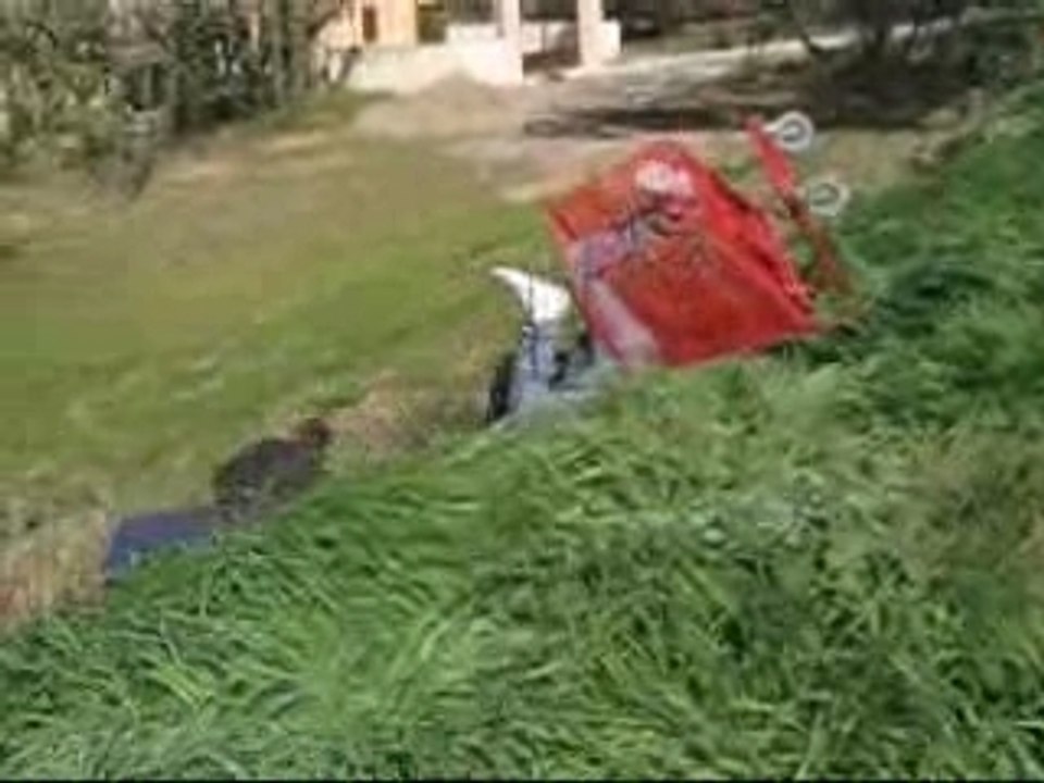 Jackass Piolenc