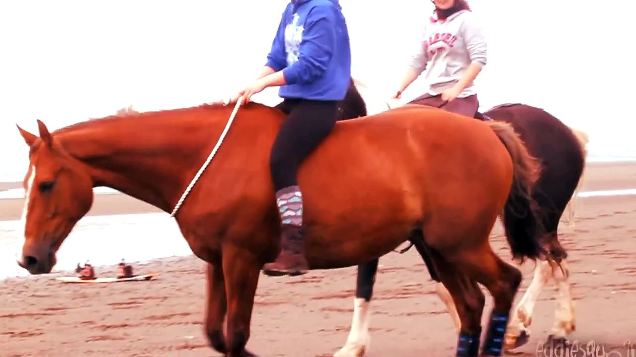 Galloping TACKLESS on the beach!