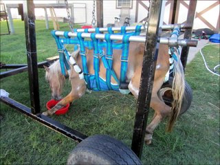 Betsy Rose - I Can See Clearly Now