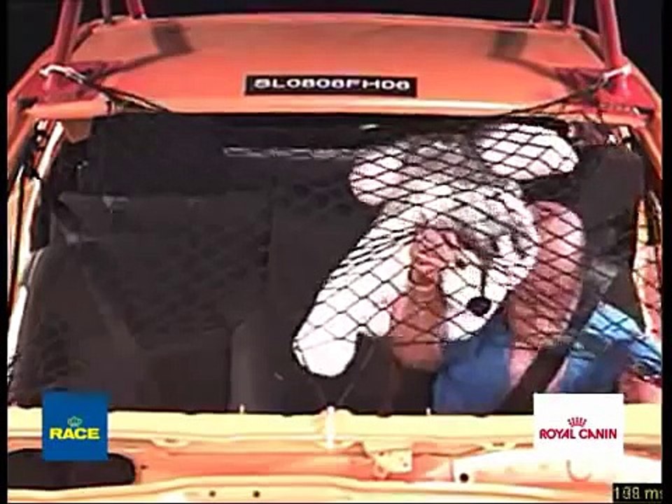 Cómo viajar seguro con tu mascota - Consejos Royal Canin