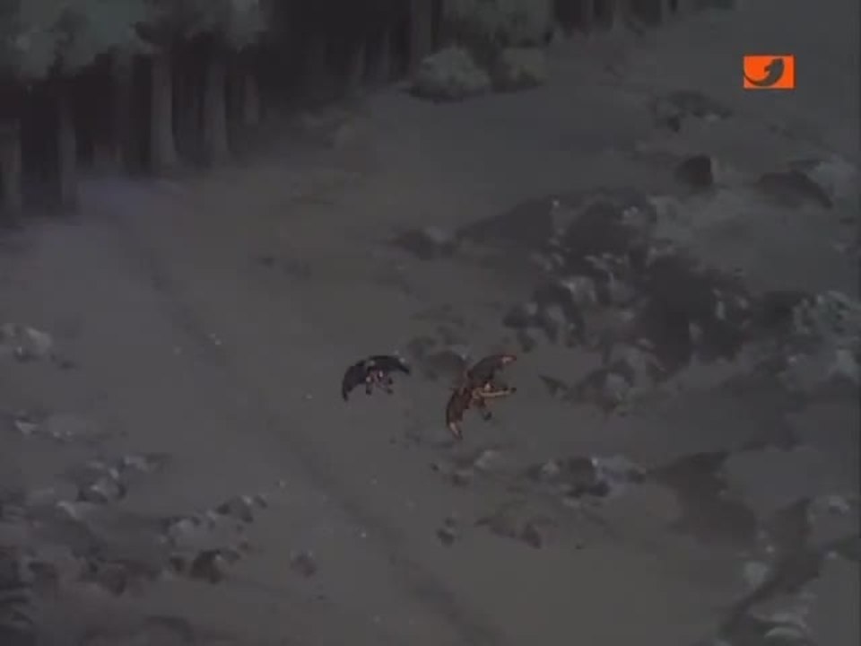 Gargoyles auf den schwingen der gerechtigkeit - intro (deutsch)