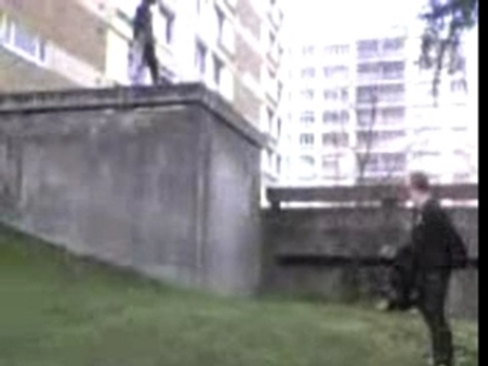 Saut