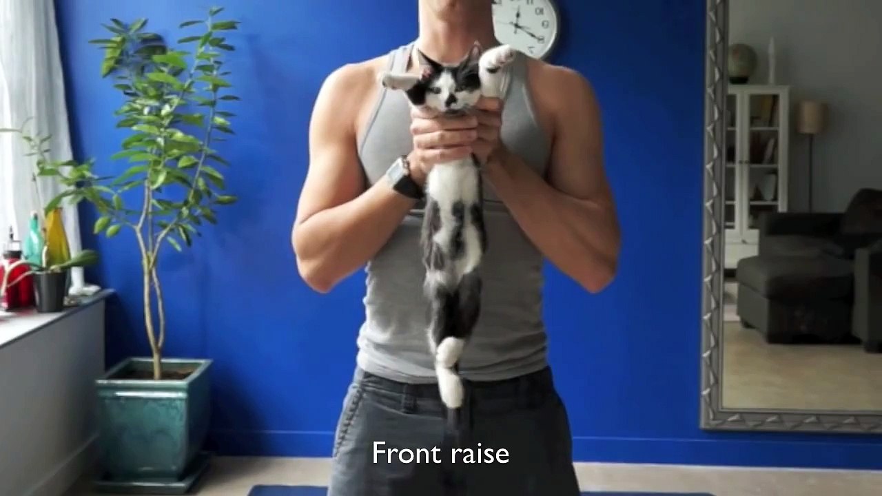 How to exercise with your cats! (redux)