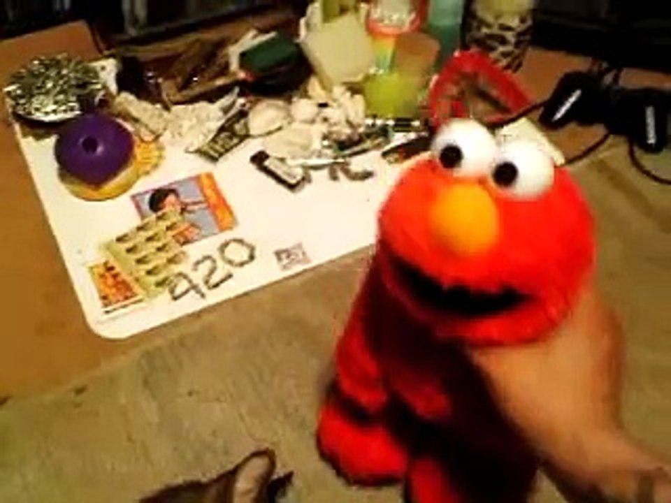 エルモvs猫 Elmo vs Cat
