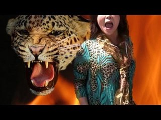 日本を襲う「ヒョウ柄」の恐怖